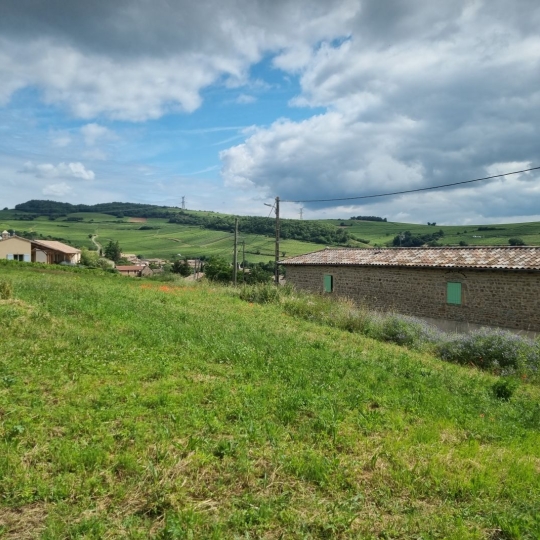  Annonces AIN RHONE : Terrain | CHASSELAS (71570) | 0 m2 | 158 000 € 