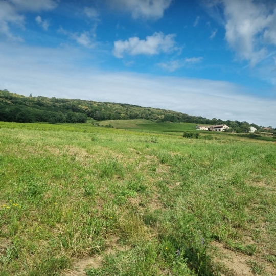  Annonces AIN RHONE : Terrain | CHASSELAS (71570) | 0 m2 | 158 000 € 