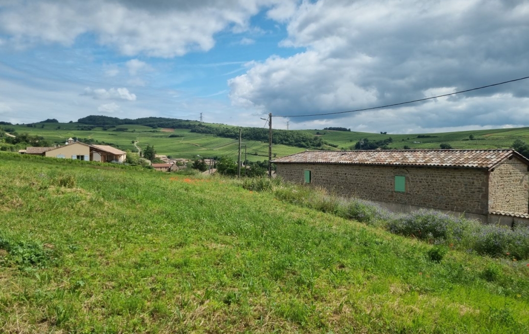 Annonces AIN RHONE : Terrain | CHASSELAS (71570) | 0 m2 | 158 000 € 