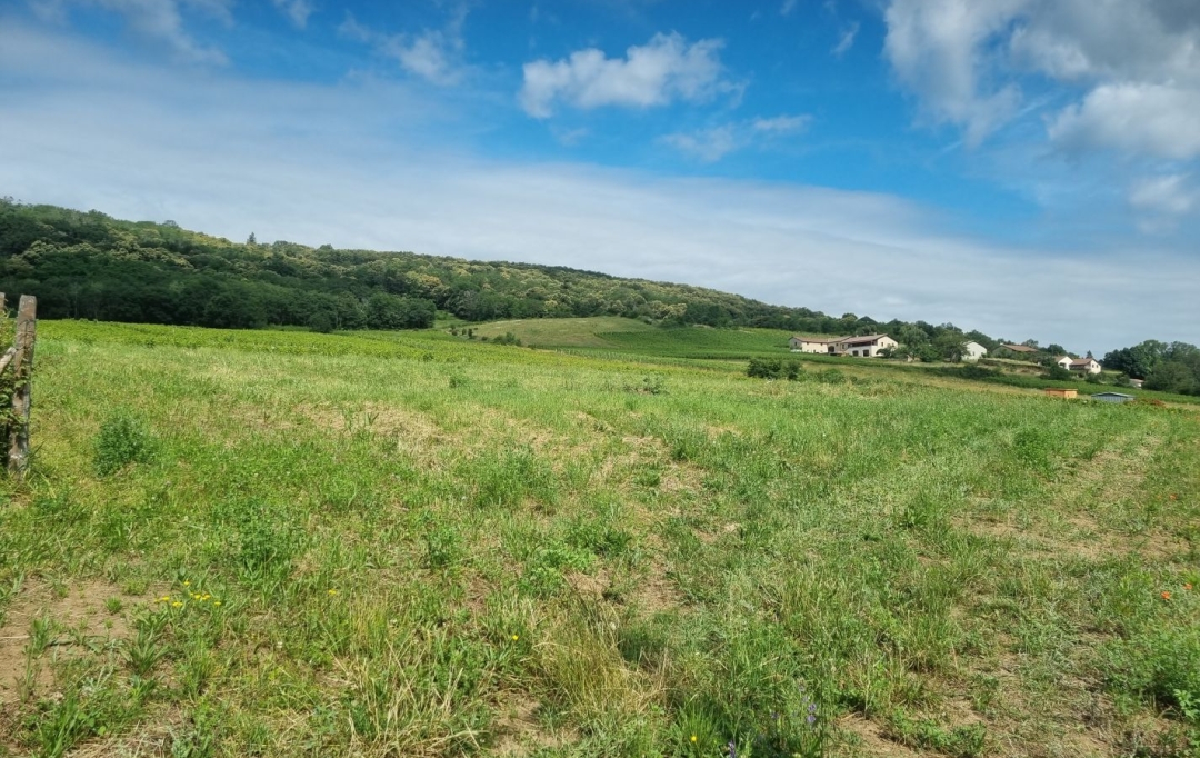 Annonces AIN RHONE : Terrain | CHASSELAS (71570) | 0 m2 | 158 000 € 